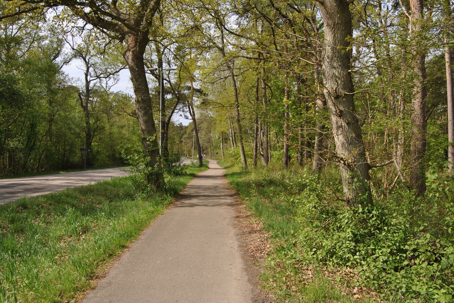 Strandskogen, Torekov.