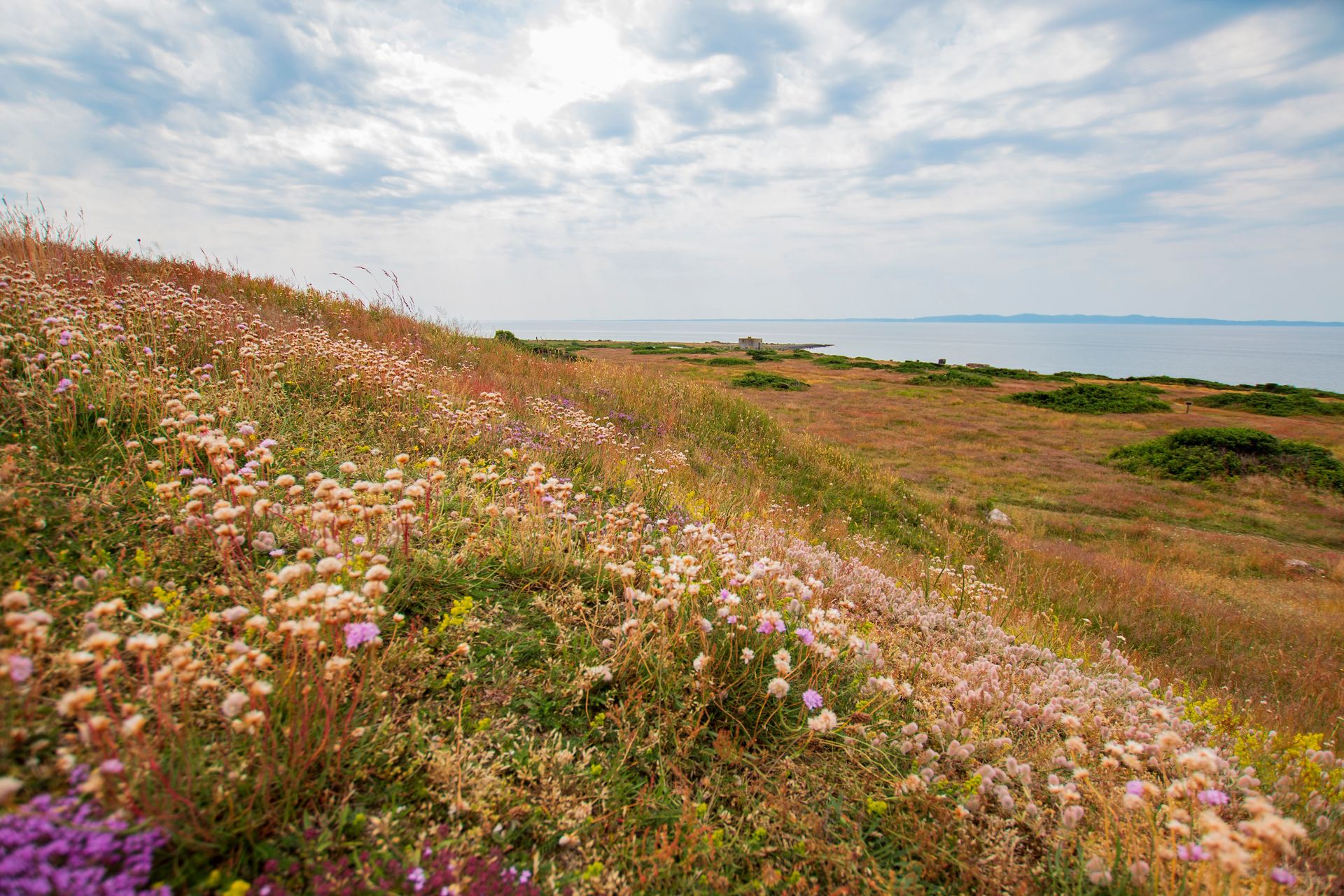 Södra Bjärekustens naturreservat.